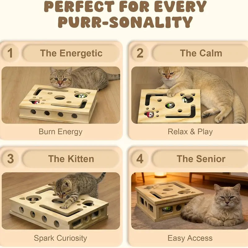 LIVANIRA Universal Wooden Cat Scratch & File Enrichment Box - Claw Care Puzzle Toy with Replaceable Filing Pad, Large Scratch Area, Treat Openings, 3 Toy Balls for Indoor Cats Familyfun Cat Nail File Scratcher Toy